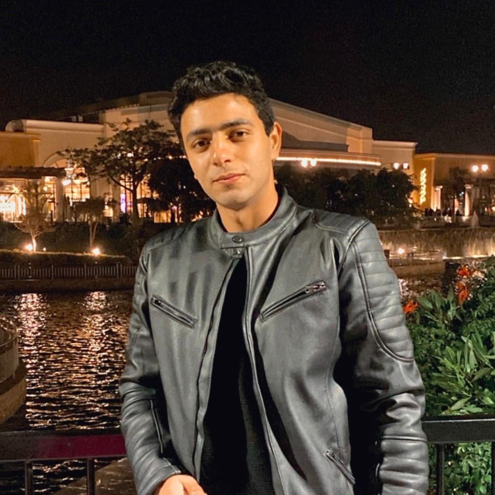 محمد محمود حمزة
